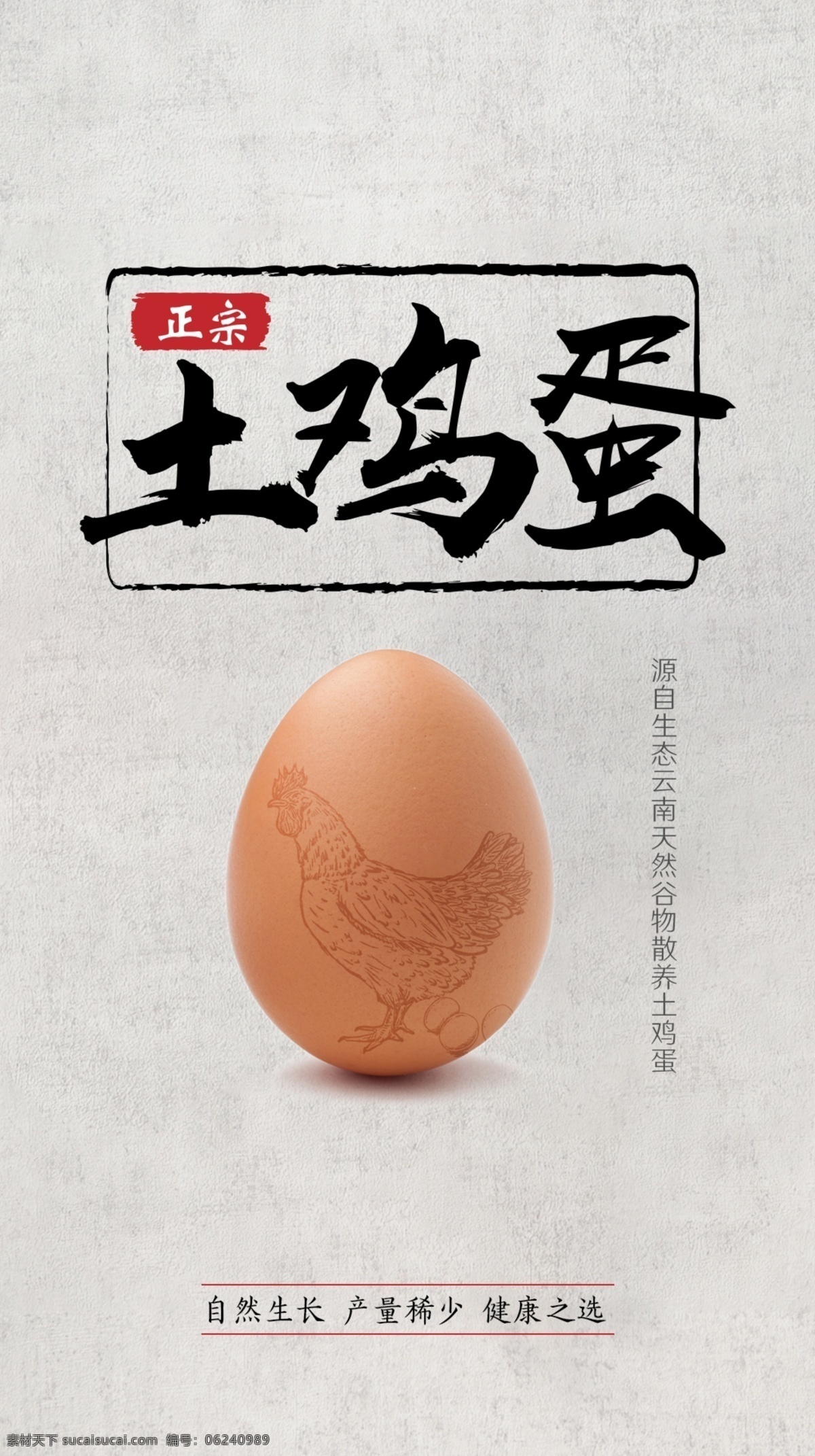 鸡蛋海报 鸡蛋 海报 招贴 宣传 土鸡蛋