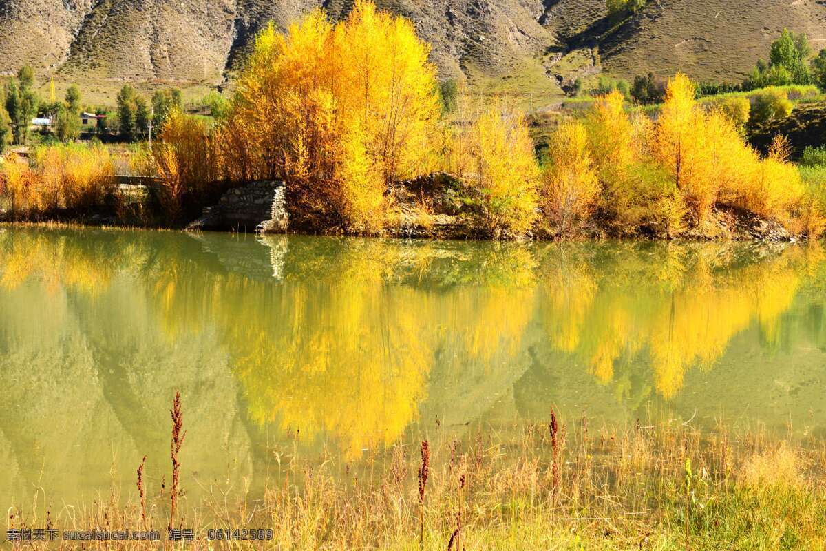 青海 北山 秋天 青海北山 秋意盎然 美丽风景 风景 黄色 树木 河流 自然景观 田园风光 旅游摄影 国内旅游