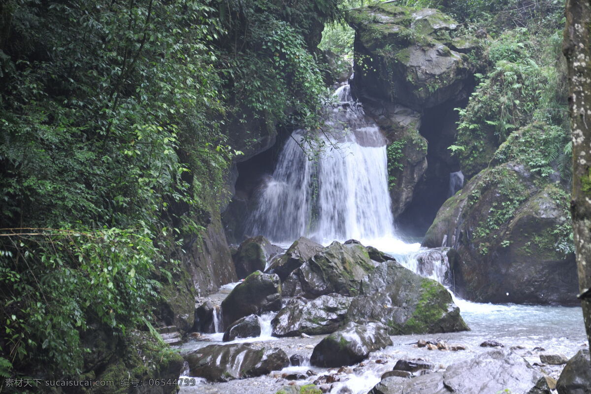 峨眉山风光 峨眉山 山水 山影 树影 原始森林 森林 苔藓 清山 岩石 山泉 泉水 山水风景 自然景观