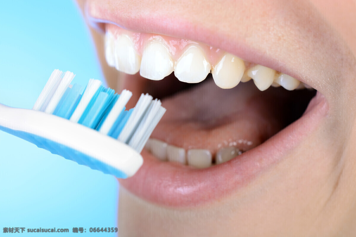 美女 牙刷 美女牙齿 保护牙齿 洁白牙齿 健康牙齿 口腔护理 人体器官 人体器官图 人物图片