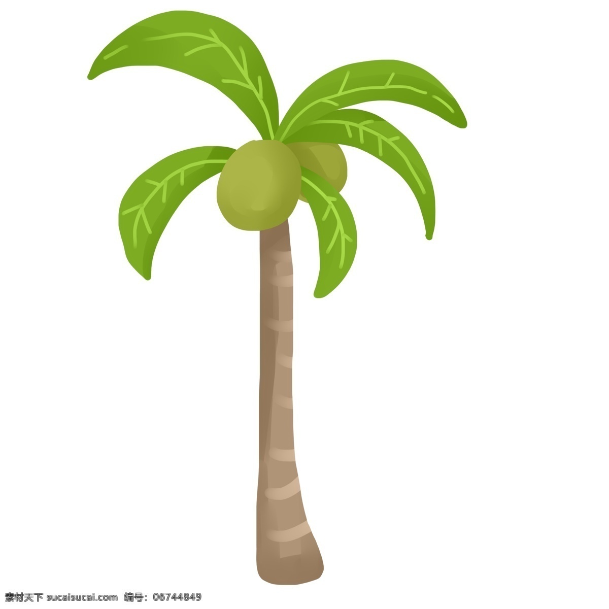 高椰子树 沙滩 海边 热带 植物 椰子 树木