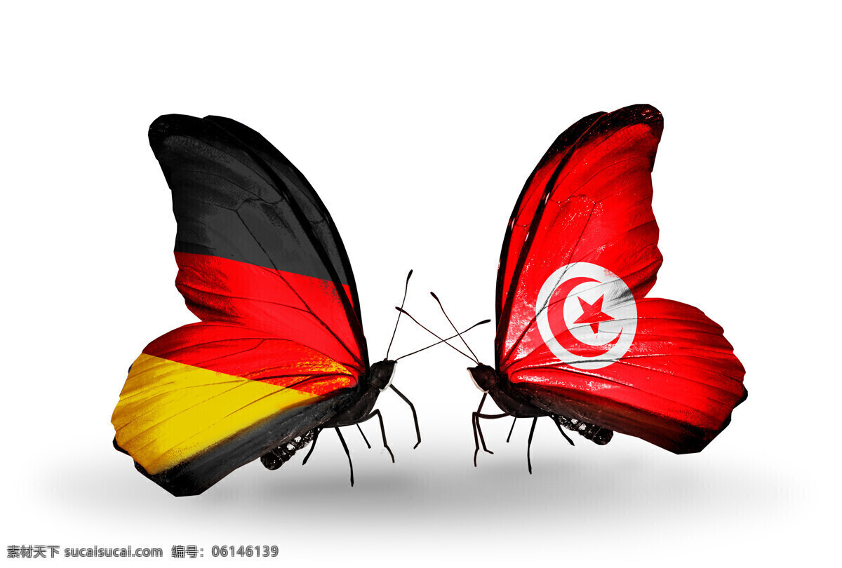 德国 以色列 国旗 蝴蝶 德国国旗 蝴蝶旗帜 昆虫世界 生物世界 白色