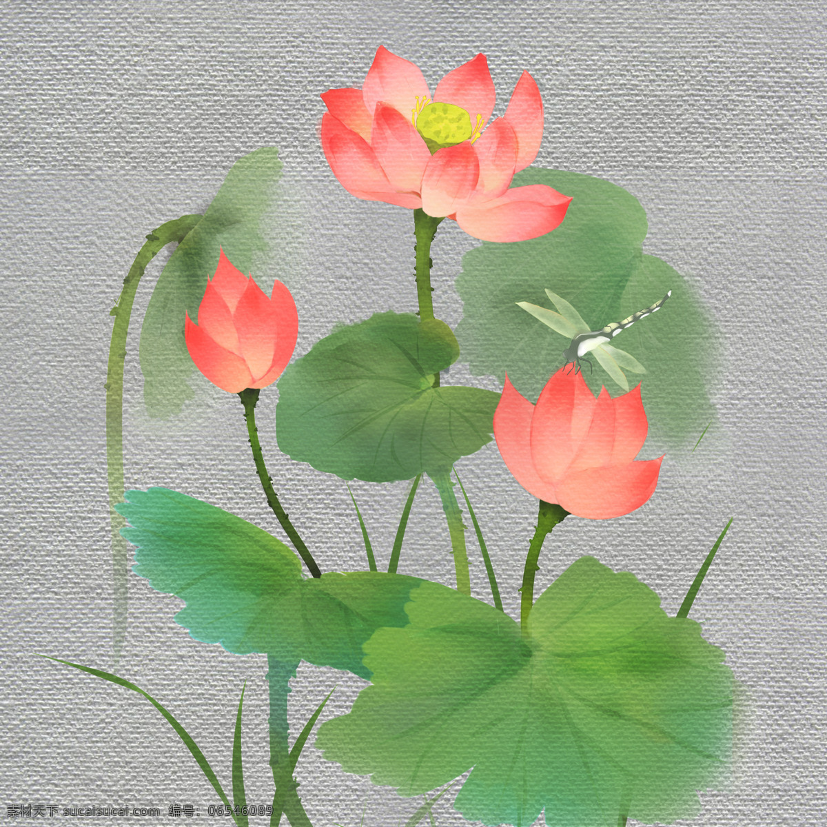中国 风 荷塘 立夏 节气 元素 荷花 荷叶 二十四节气 植物 节气元素 立夏节气
