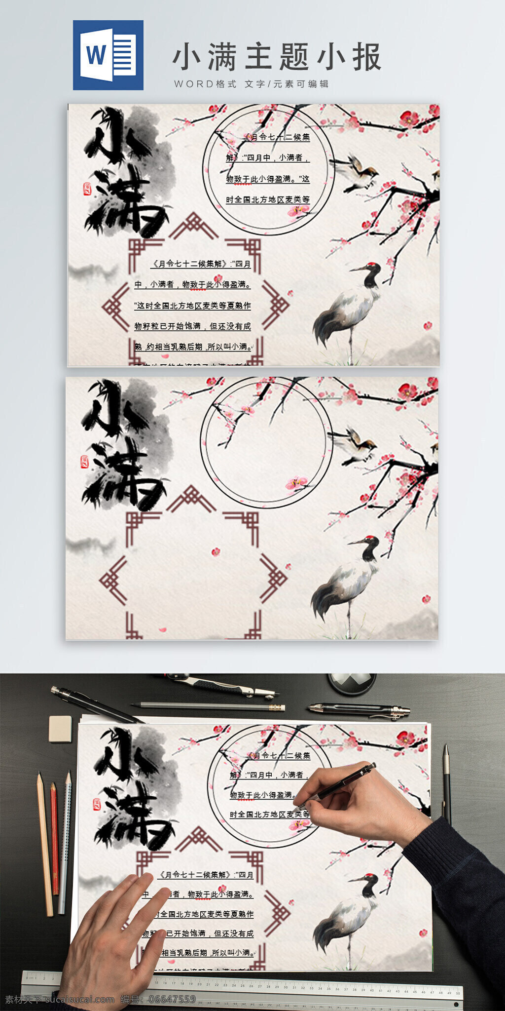 小满 主题 小报 传统 节气 水墨 春天