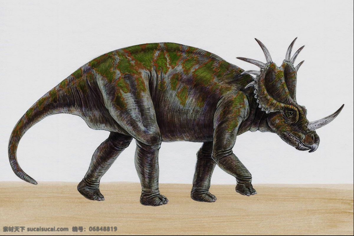 三角龙 恐龙 侏罗纪 恐龙时代 恐龙绘画 恐龙手绘 恐龙复原图 生物世界