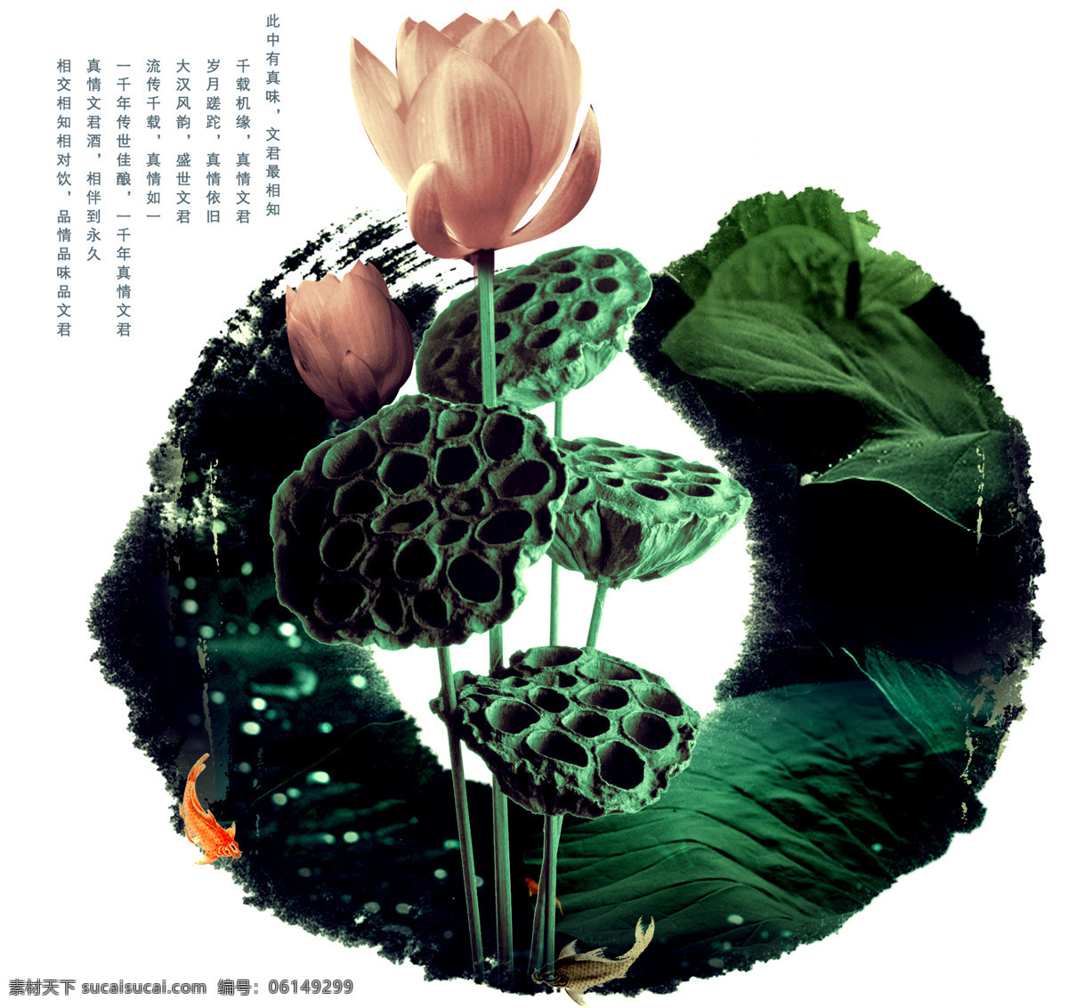 莲花莲蓬图 莲花 莲蓬 诗词 墨迹 白色