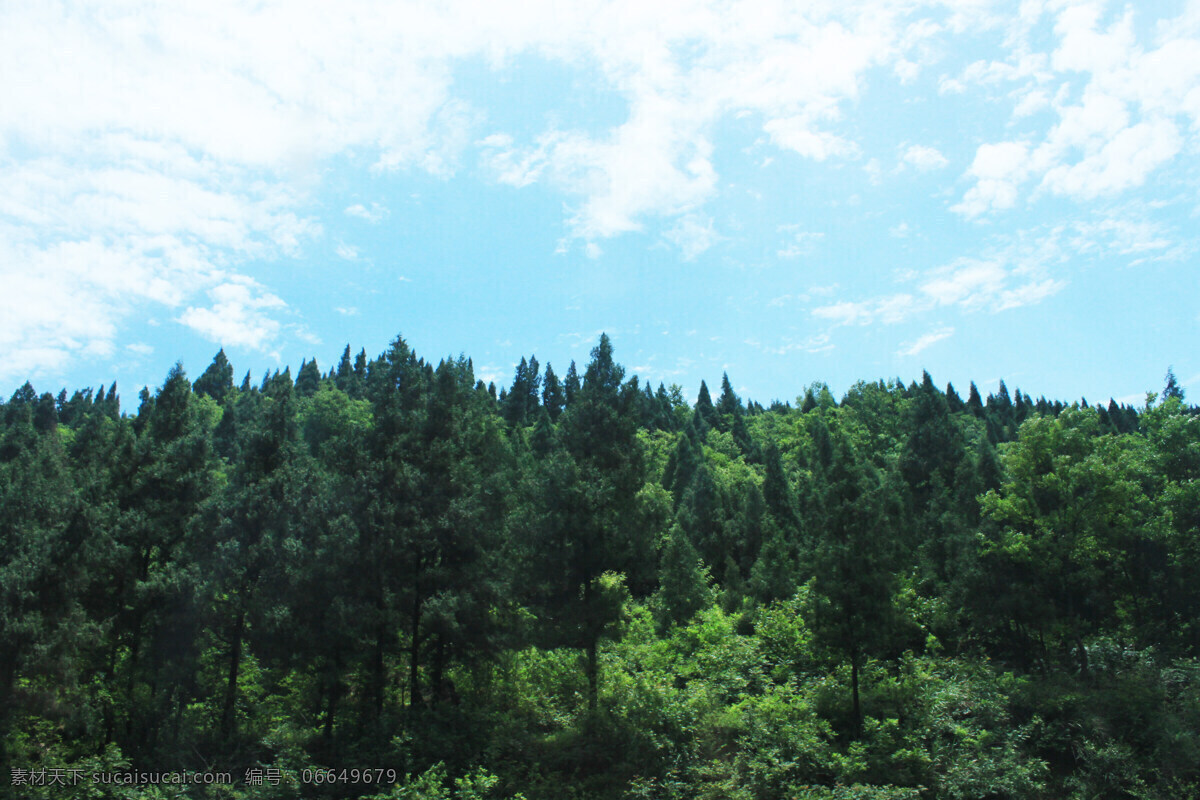 远山 自然美景 森林城市 绿色 远景 风景 郊外 蓝天白云 草地 农村 高速旁 远处 沿途美景 路途 大山 森林 雄伟 自然景观 自然风景