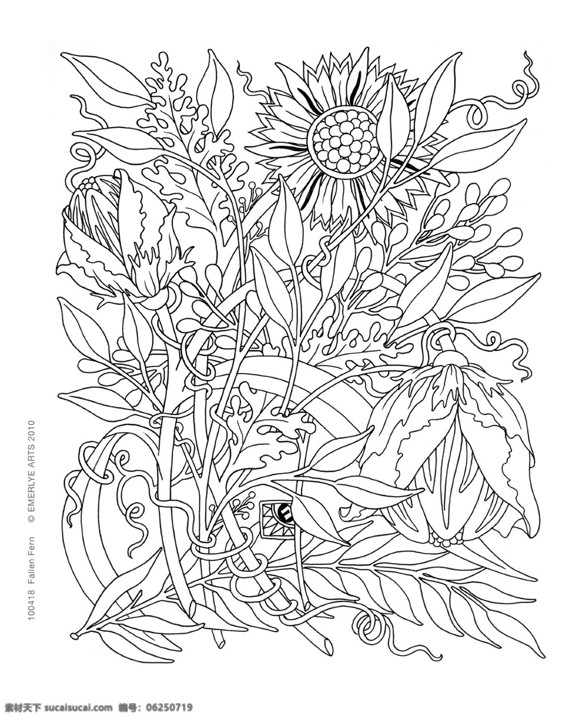 秘密花园 填色卡 花朵 叶子 简笔画 小学生 绘画 文化艺术 绘画书法 填色