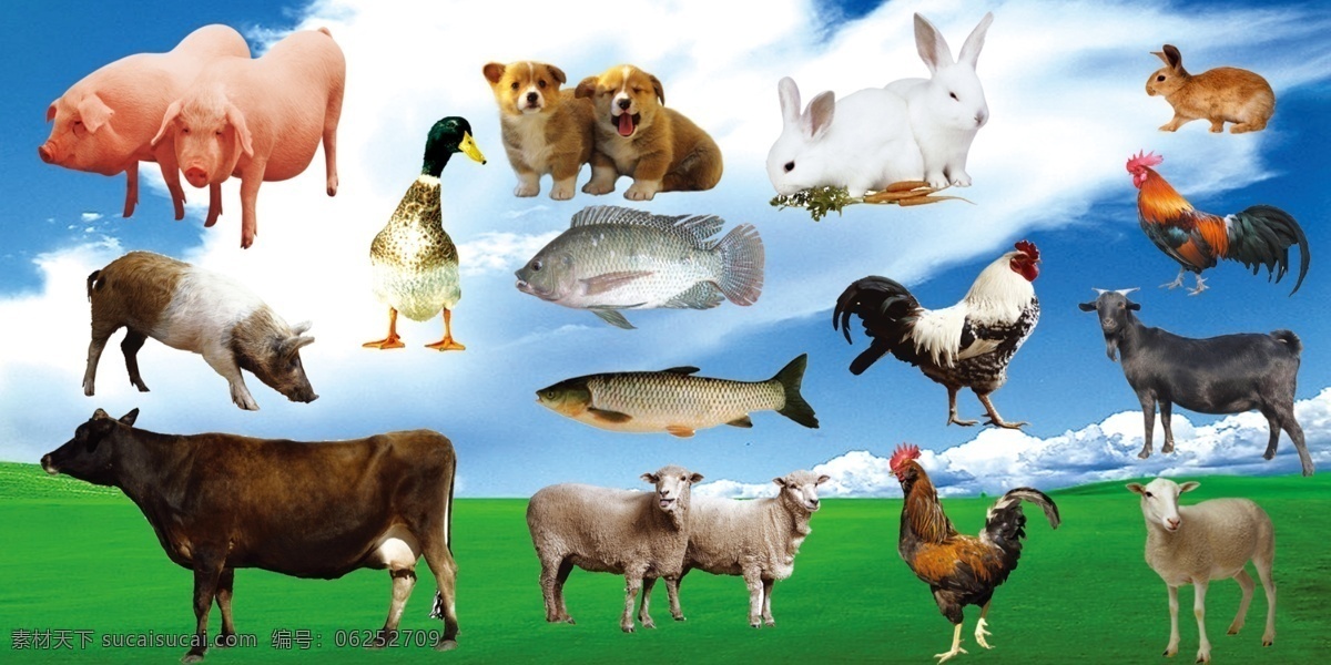 动物素材 蓝天白云 动物大全 各种动物 餐厅动物大全 餐馆使用 分层 源文件