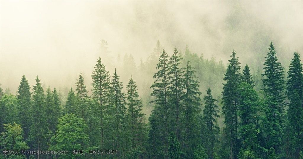 风景图片 风景 桌面壁纸 自然景观 自然风景 壁纸图片 壁纸 山水风景 山水画图片 河流 唯美图片 风景画 风景壁纸 唯美壁纸 唯美素材 背景图片 背景素材 蓝天白云 大自然 高清风景图片 拍摄 生态 绿叶 花 草 植物 植物特写 拍摄素材 蓝天