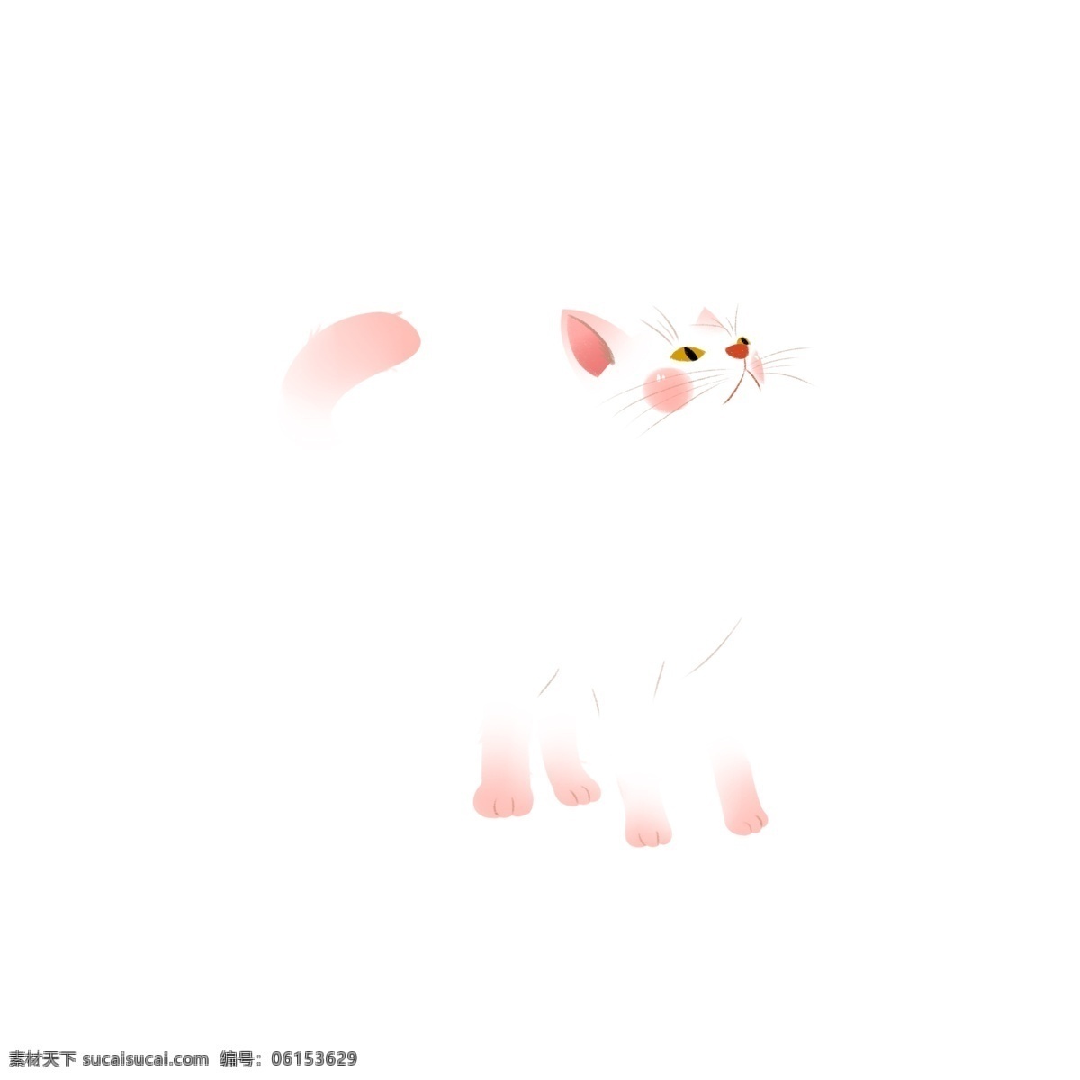 卡通 简约 萌 宠 猫咪 动物 白色 萌宠 小猫咪 宠物 小动物