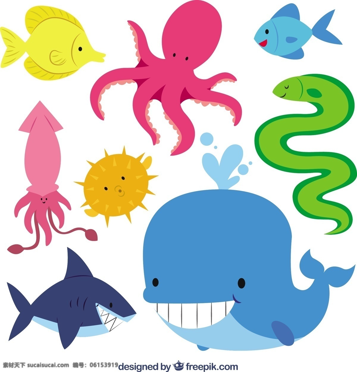 可爱 海洋 动物 可爱的插图 鲨鱼 章鱼 鲸鱼 可爱的动物 鱿鱼