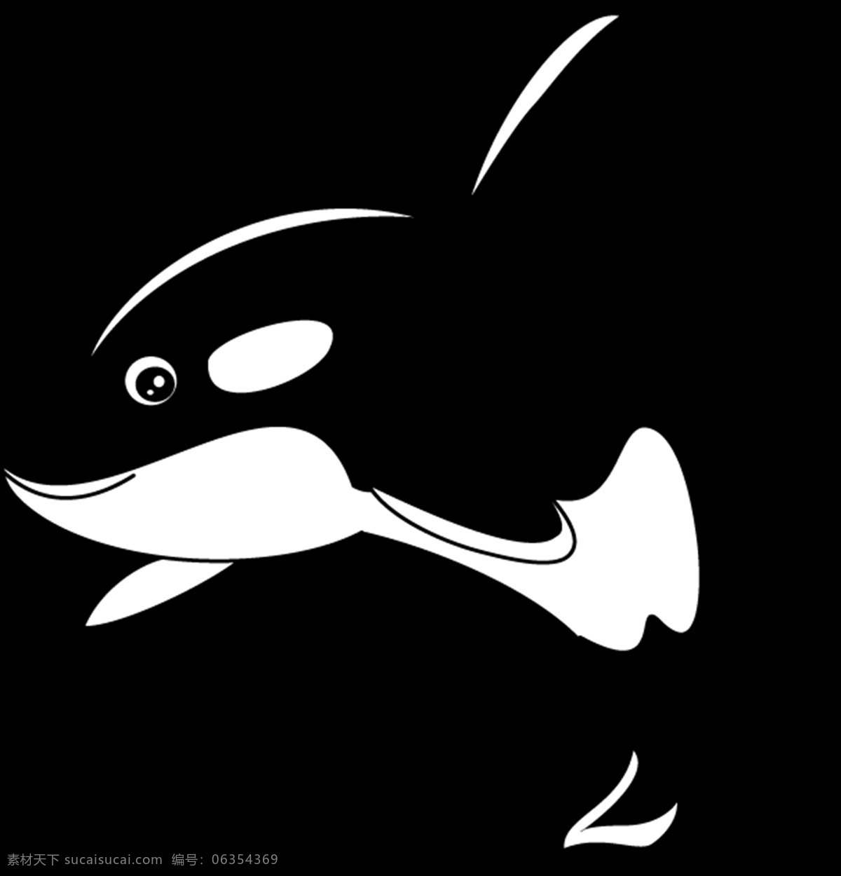 鲸鱼图片 鲸鱼 鲸 虎鲸 png图 透明图 免扣图 透明背景 透明底 抠图 生物世界 海洋生物