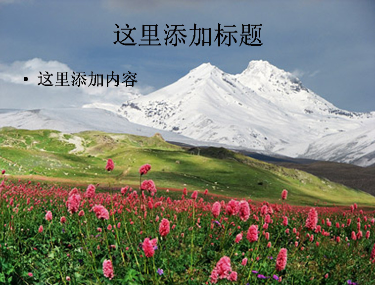 雪山 下 野花 模板 范文 风景 花朵 自然风景 原野 创意 实用 山脉 精品 花丛