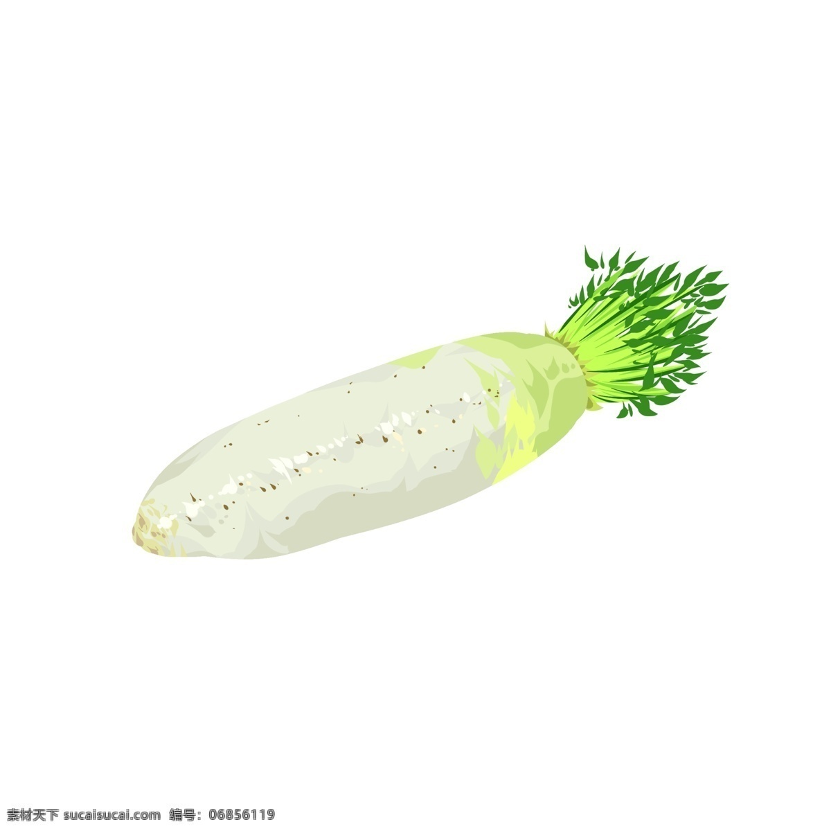 白萝卜 免 抠 白色 蔬菜 健康 美食 简洁 植物