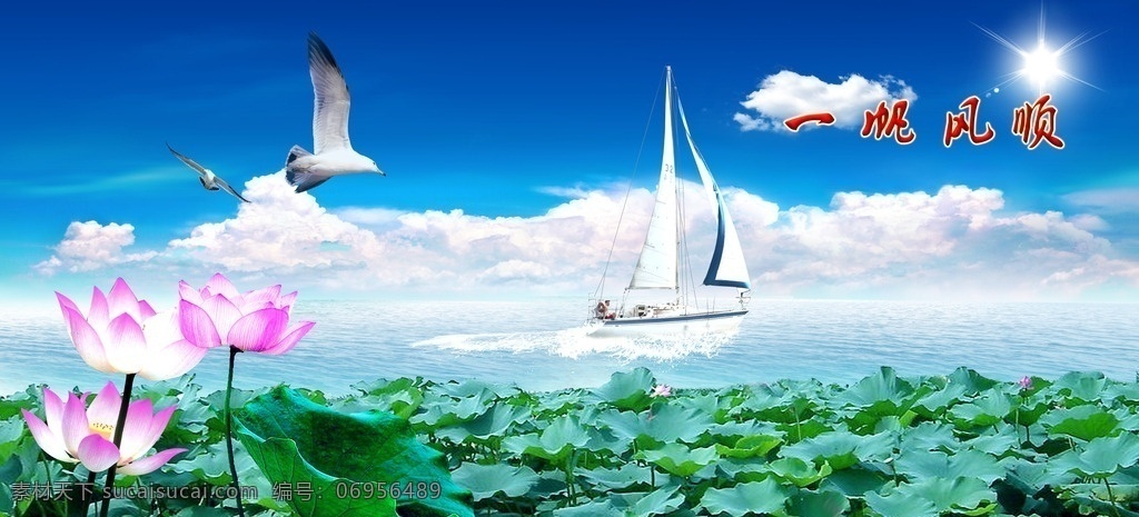 一帆风顺 风景画 山水画 河流 白鸽 荷花 风景 自然景观 自然风光