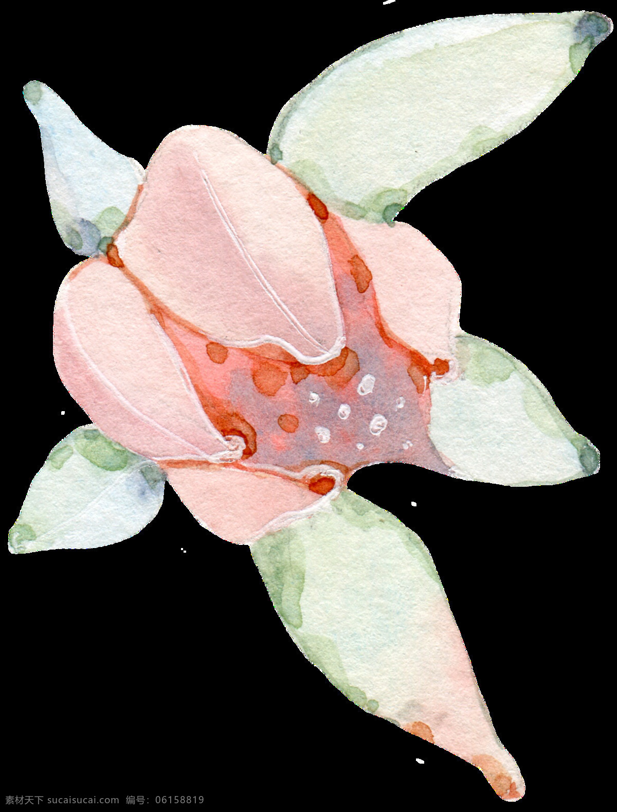 粉色 花卉 透明 装饰 图案 设计素材 抠图专用