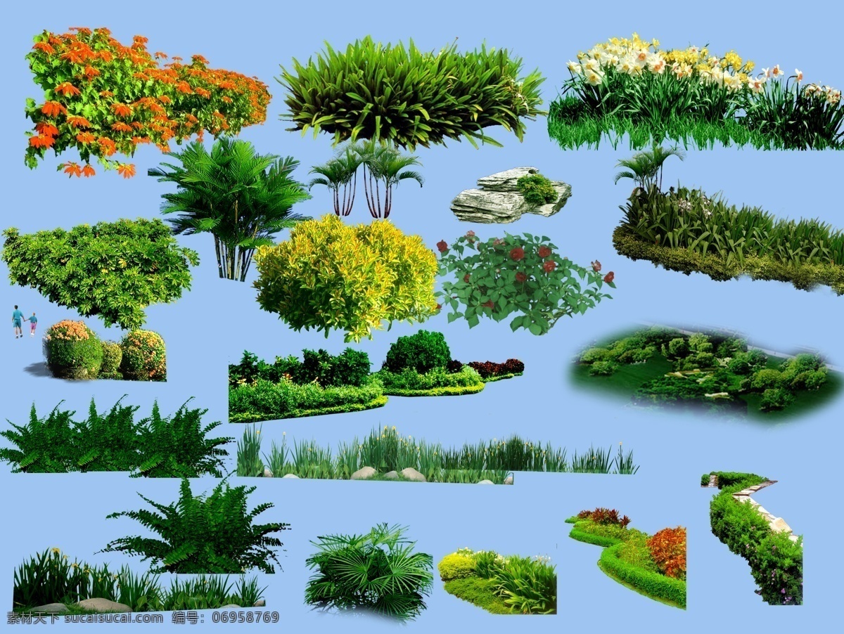 地被植物 地被 植物 灌木 花 开花灌木 园林 景观 绿色 景观设计 环境设计 源文件