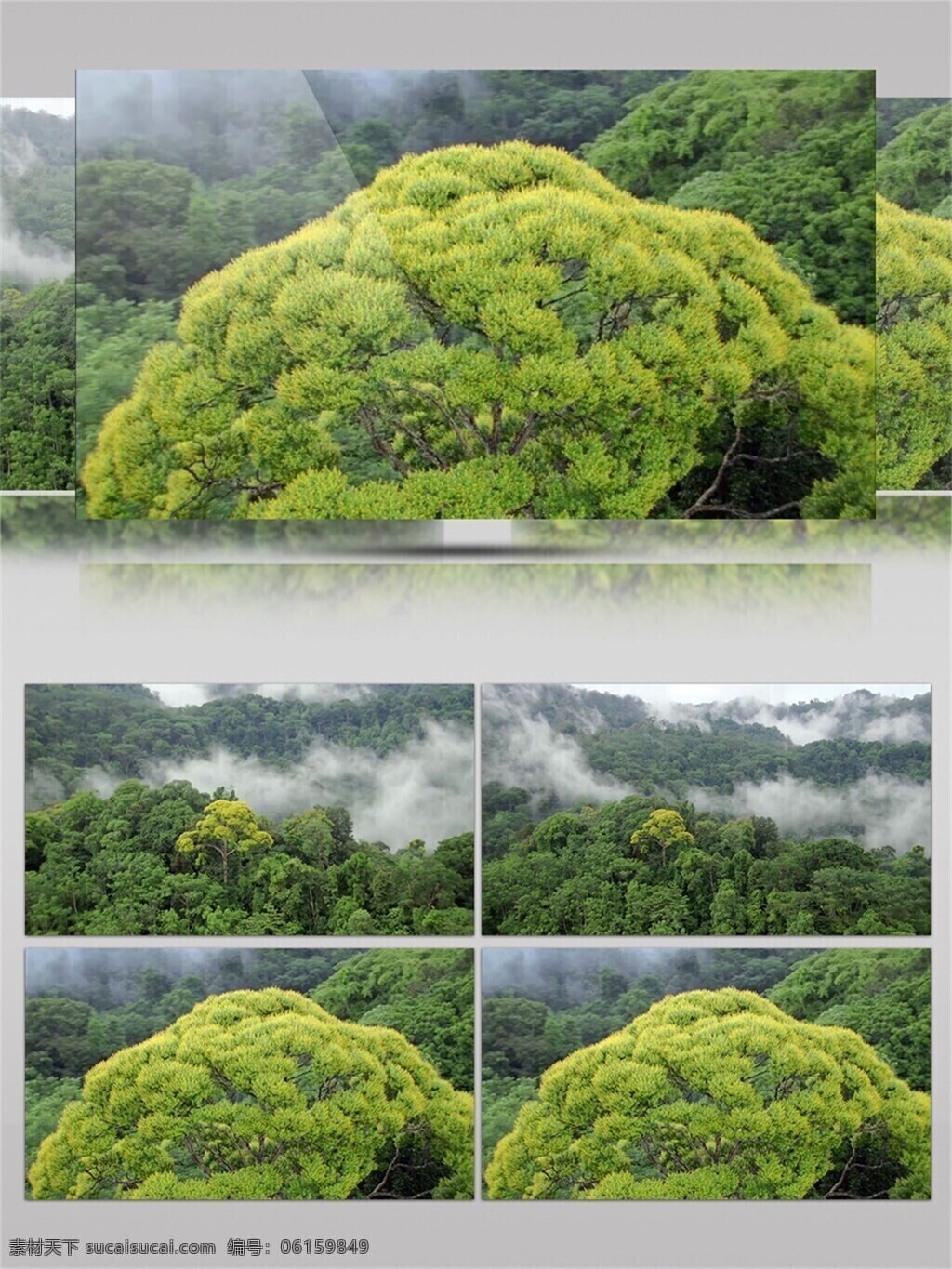 绿色 清新 树林 视频 音效 大自然 视频素材 山林 雾气 阳光 视频音效 空气清新