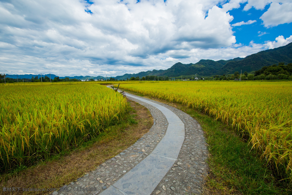 南屏古镇 南屏村 南屏景区 南屏风景区 4a 安徽 黄山市 黄山 旅游风光摄影 旅游摄影 国内旅游