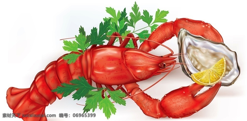 手绘虾 蛤蜊 食材 食物手绘 海鲜 手绘海鲜 虾 海虾 龙虾 小龙虾 生活百科 餐饮美食