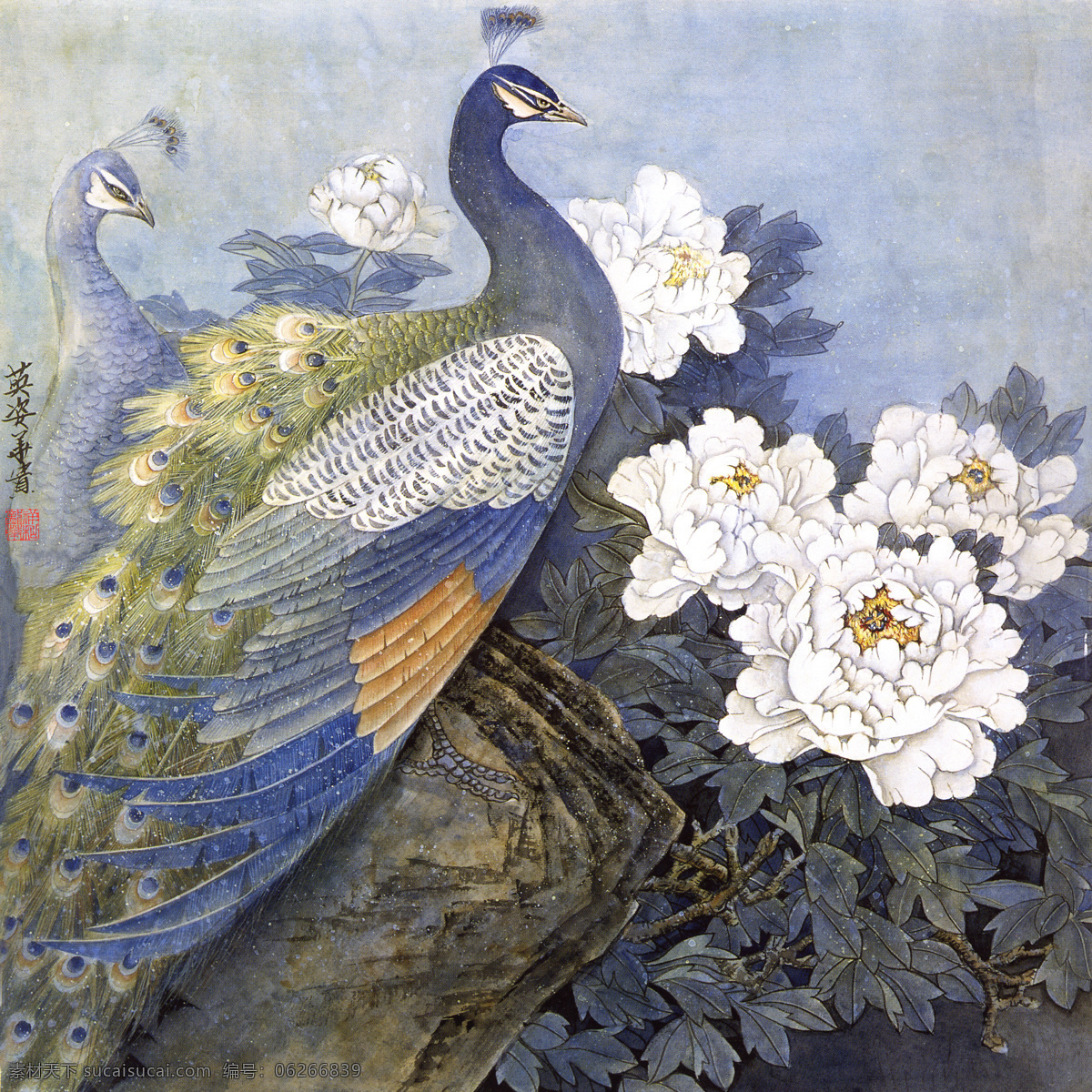 水墨孔雀花鸟画素材图片下载-素材编号06266839-素材天下图库