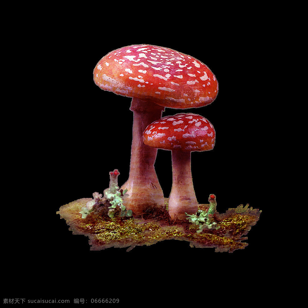 彩色蘑菇元素 手绘 卡通 鲜艳 红色蘑菇 波点