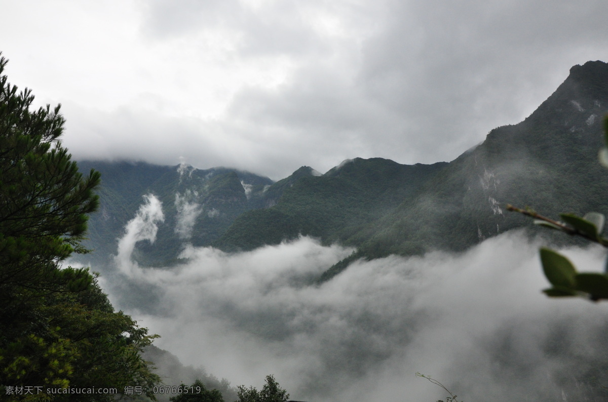川西 川西摄影 云 山 意境 树 高山 风景 山水风景 自然景观