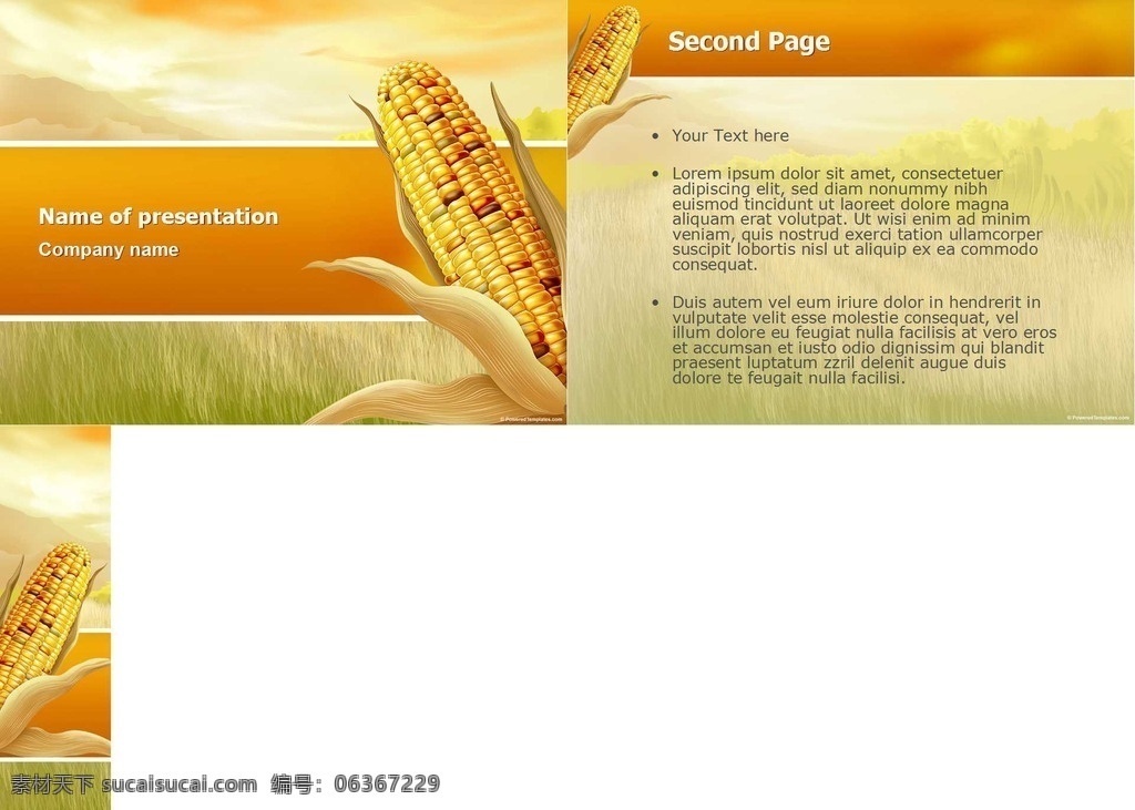 玉米 秋季 主题 图案 背景 线条 模板 自然 农业 多媒体