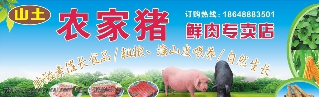 农家猪肉 生态肉 山土猪肉 环保肉 鲜肉