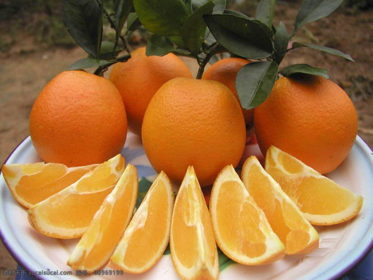 橙子 圆形 橘橙色皮 浅橙色果肉 甜酸汁多 营养丰富 可制果汁饮料 水果品种之一 水果图集 水果 生物世界