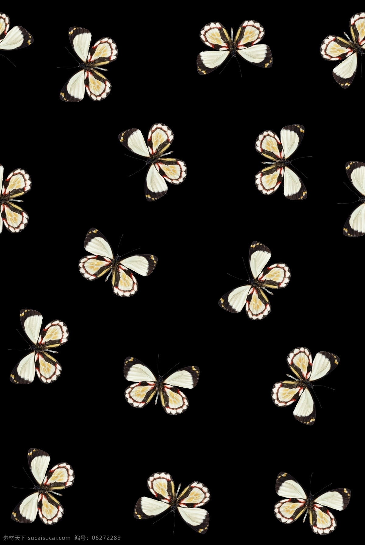 简约 风 蝴蝶 图案 手绘花型 花卉图案 花纹 花纹图案 衣服图案 花型 数码印花 数码印花图案 服装图案 拼花图案 面料印花 花卉 女装图案 黑底 动物图案 花型油画 手绘 数码花型 手绘花卉 手绘花纹 花型图案 白色蝴蝶 黑色图案 蝴蝶服饰 服饰 蝴蝶图案 黑色 黑白 传统花纹 传统印花 窗帘 包包 家纺 共享花型 分层