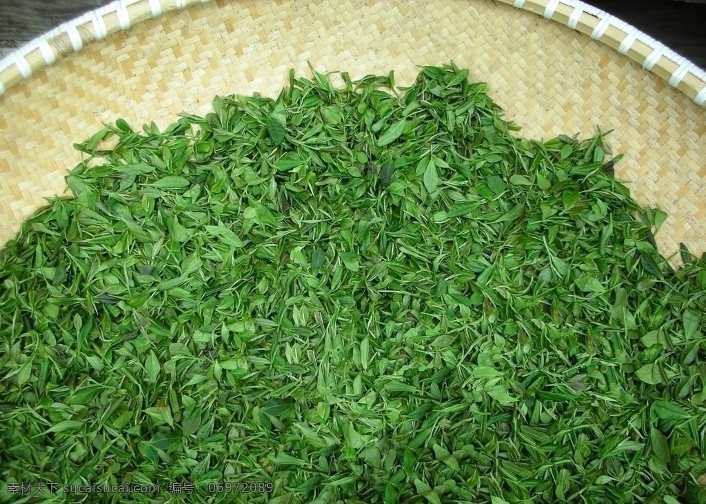 茶叶 加工后茶叶 草绿色 新茶茶叶 茶叶清香味 饮品 休闲饮品 泡茶主原料 休闲生活 生活用品 传统美食 餐饮美食