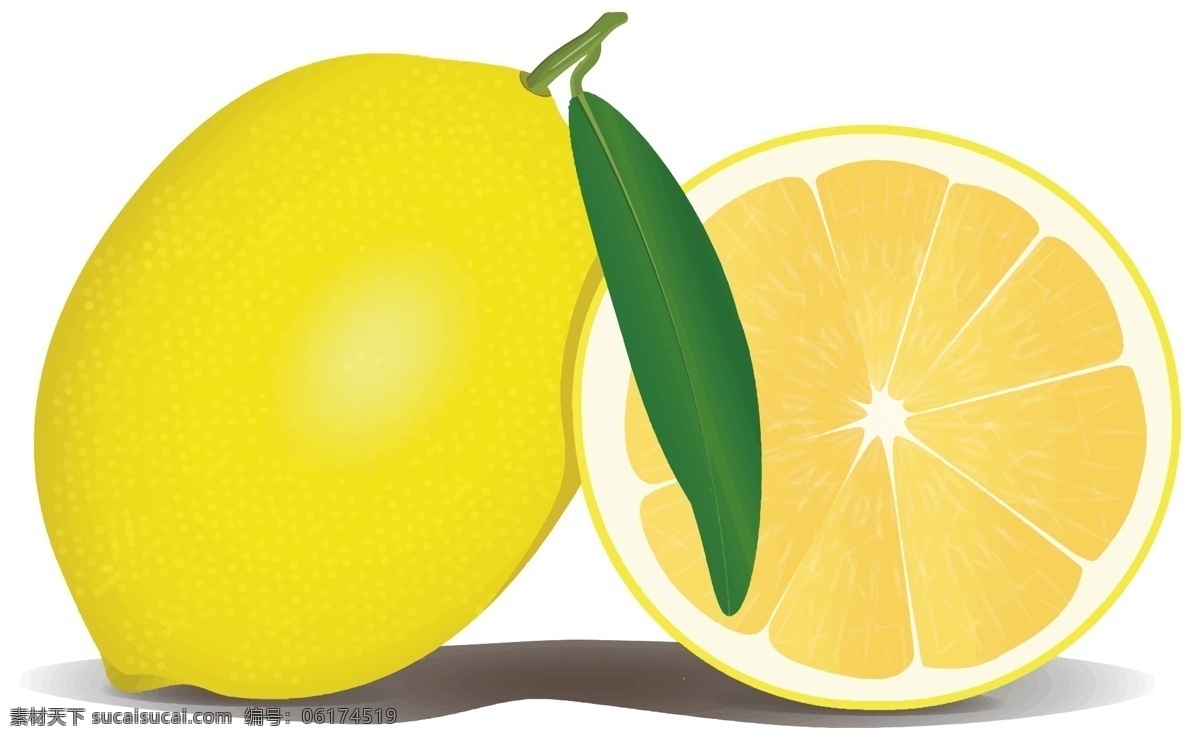 矢量柠檬插图 矢量 插图 柠檬 柑橘 水果 标志图标 其他图标