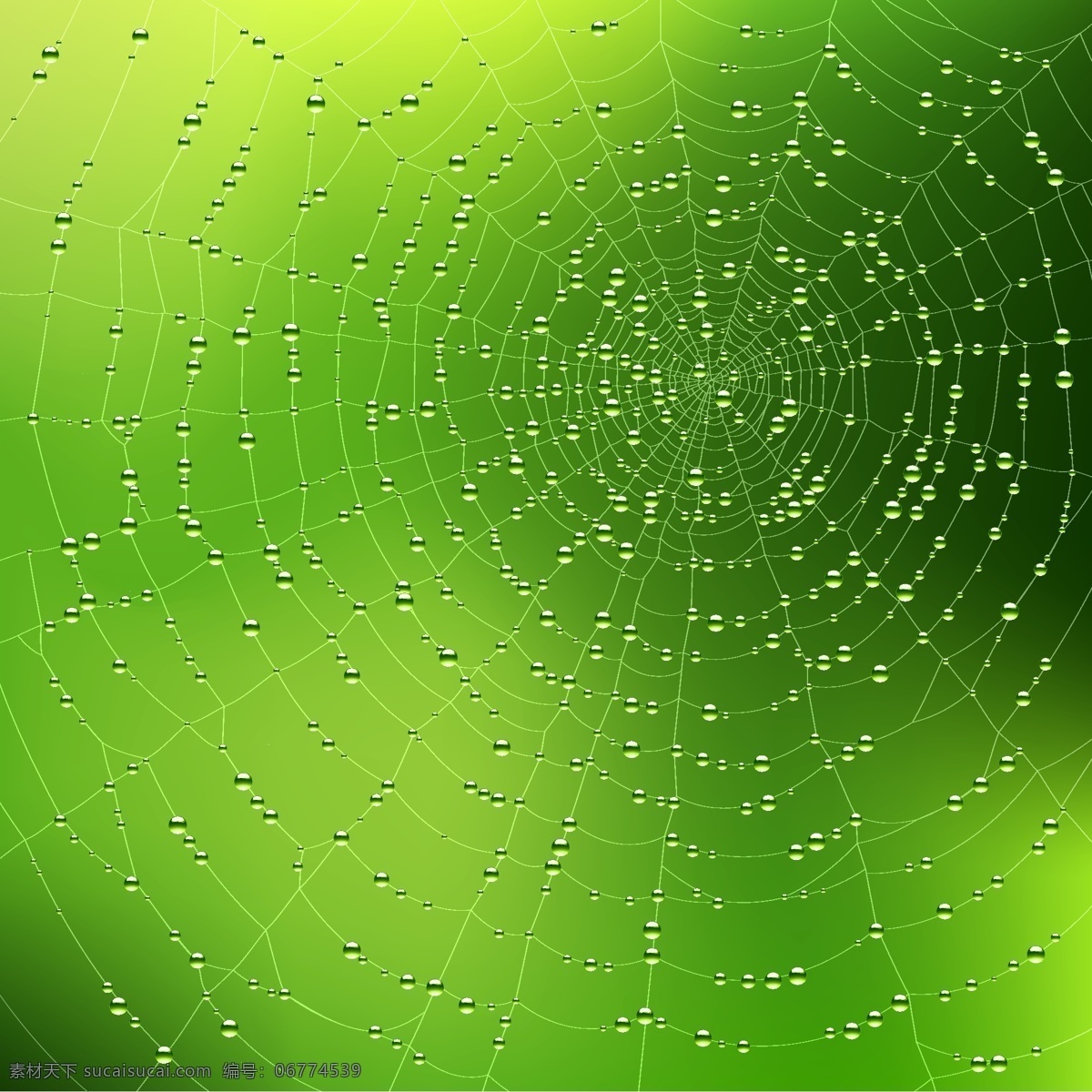 蜘蛛网 背景 矢量 景点 蜘蛛网线 材料的数量 矢量图 花纹花边