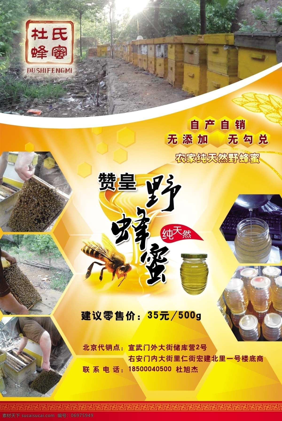蜂蜜文化 蜂蜜展板 海报 蜂蜜 野蜂蜜 家养蜂蜜 黄色