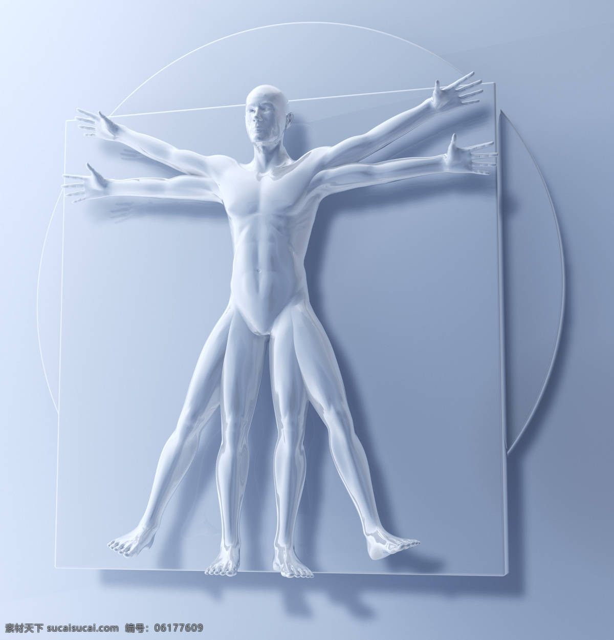 人体 结构 模型 人体结构 医学 医疗 科学研究 科技图片 现代科技