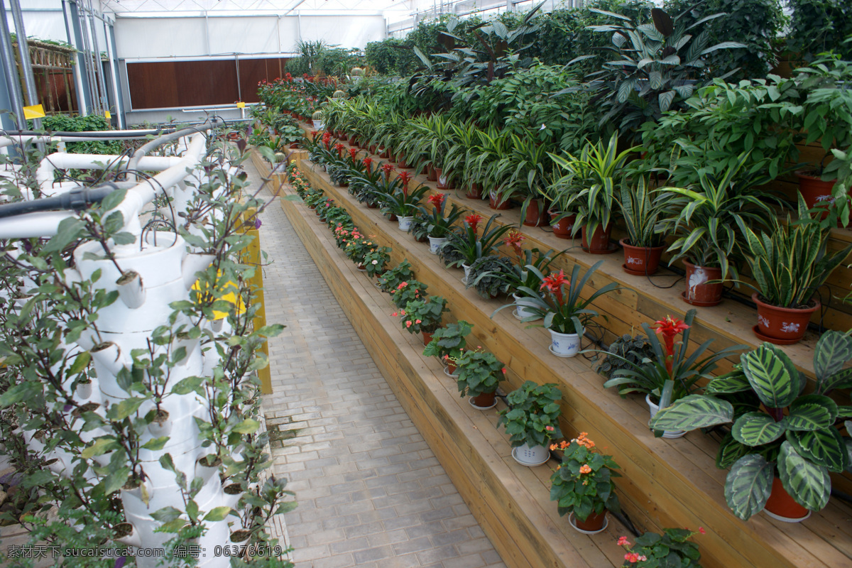 生态大棚 生态园区 生态餐厅 生态园 生态 绿色 餐桌 植物 蔬菜 餐厅 旅游 风光 风景 人文景观 旅游摄影 田园风光 自然景观