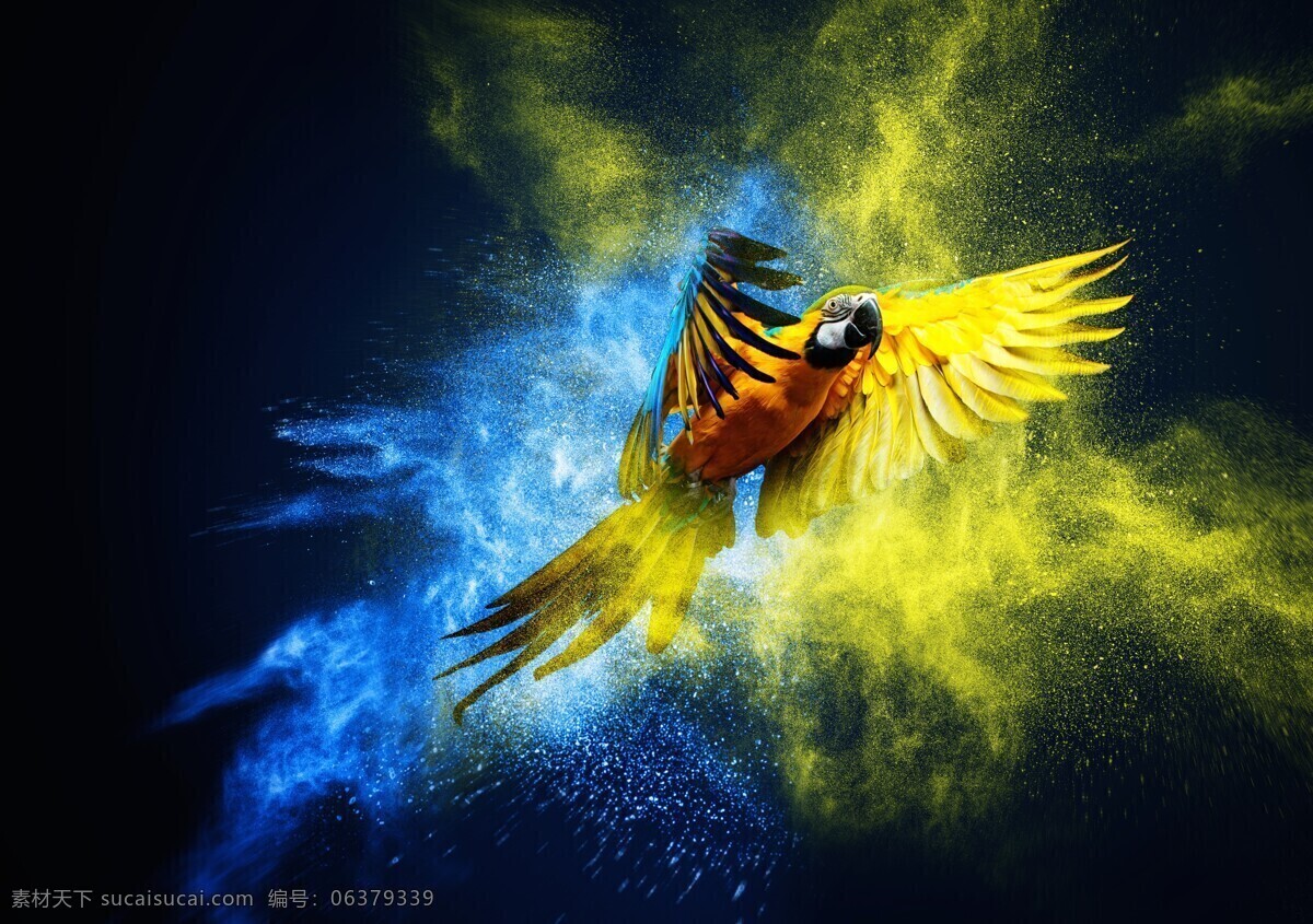 炫 酷 飞翔 鹦鹉 唯美 炫酷 粉末 动物 可爱 鸟类 浪漫 梦幻 生物世界