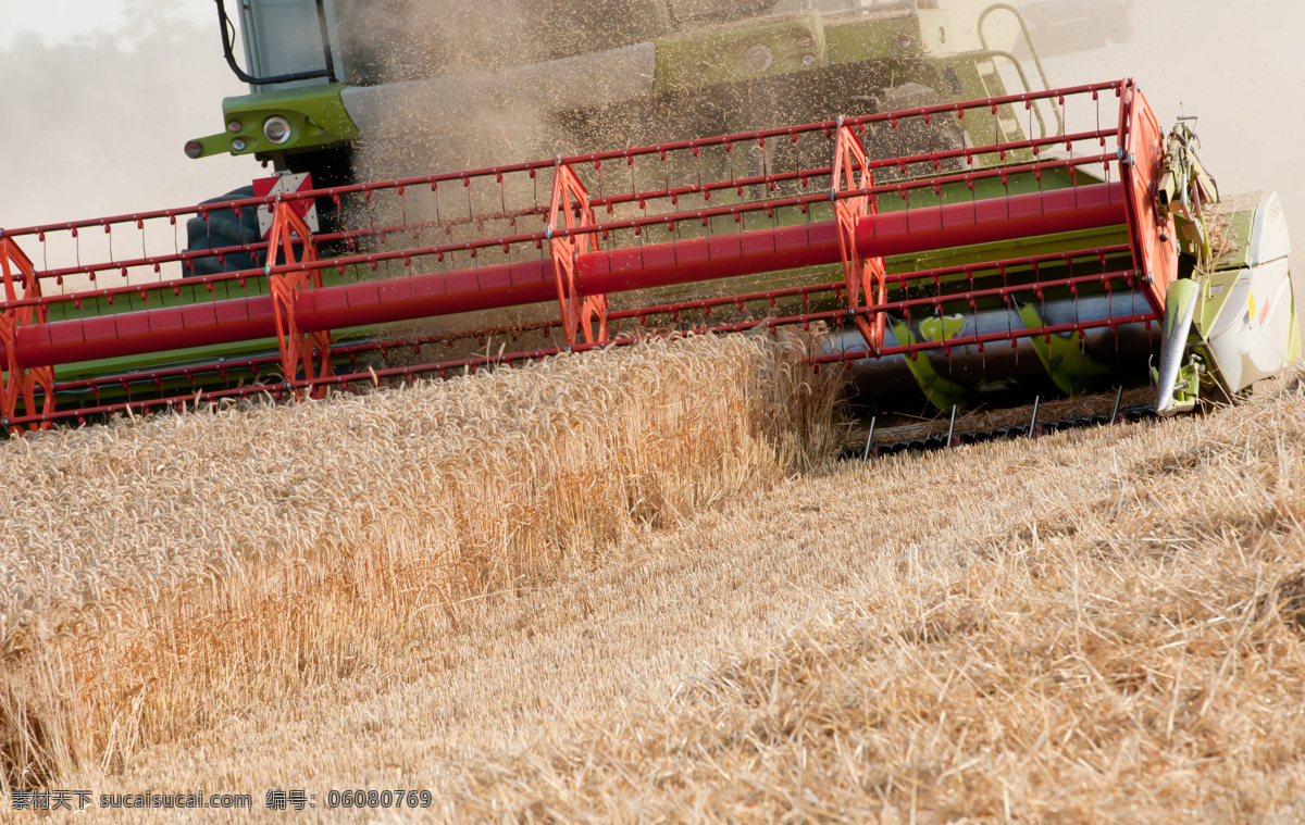 小麦收割机 小麦 收割机 麦田 麦地 收获 农业生产 现代科技