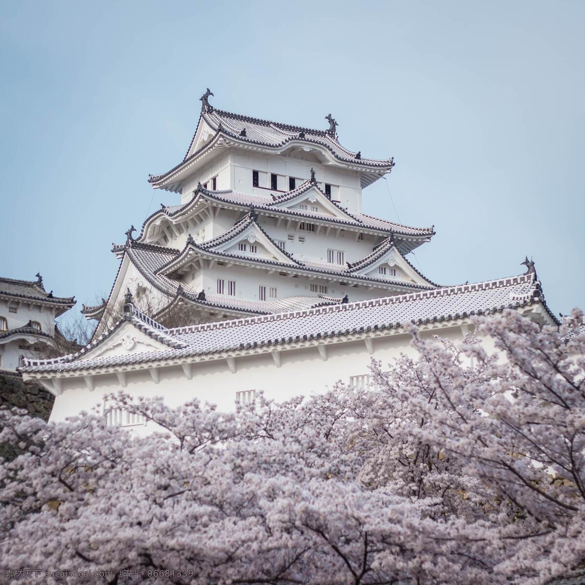 日本皇宫 日本 日本建筑 旅游 游行 古建筑 樱花 自然景观 建筑景观