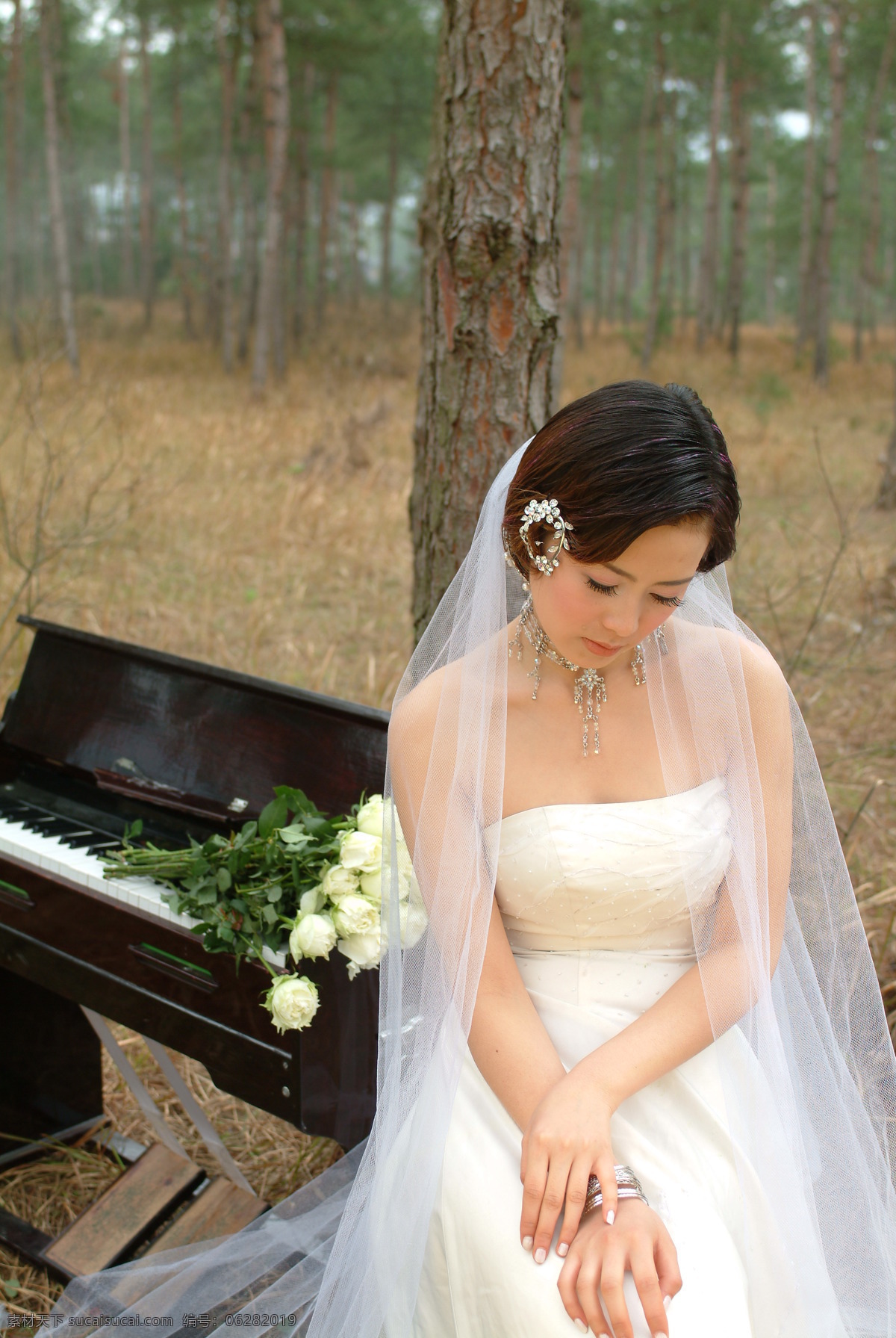 婚纱摄影样片 美丽新娘 婚纱 情侣 情人 恋人 新娘 女孩 少女 人物 写真 鲜花 钢琴 树木 松树 情丝 人物摄影 人物图库