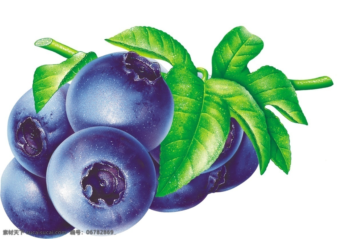 蓝莓图片 元素 分层 水果 蓝莓