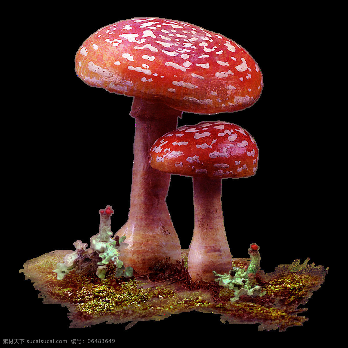 手绘 红色 蘑菇 元素 波点 红色蘑菇 野生蘑菇 美味 免抠