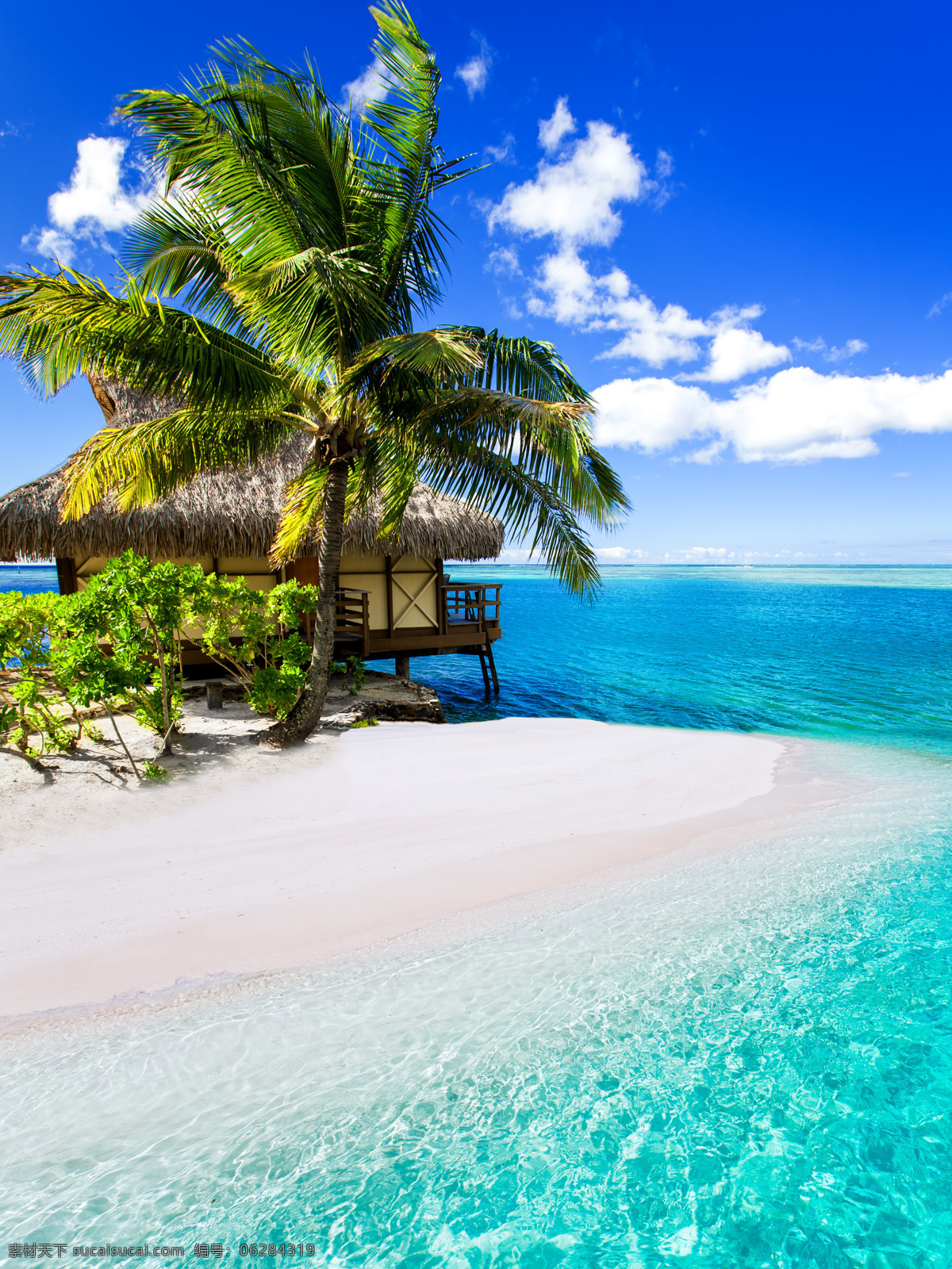 沙滩 上 房子 椰子树 大海 海水 风景 自然 风景名胜 风景图片
