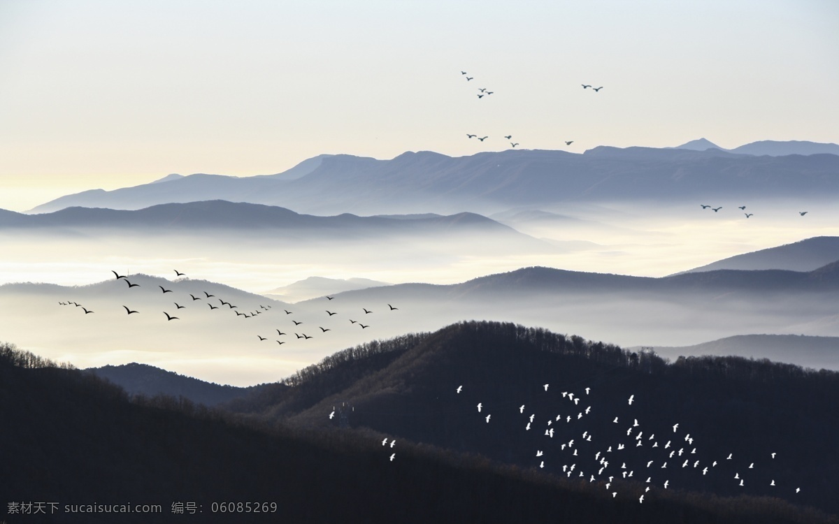 新 中式 云雾 山峦 飞鸟 电视 沙发 背景 新中式背景墙 新中式装饰画 电视背景墙 沙发背景墙 床头背景墙 书房背景墙 水墨山水 水墨远山 装饰画 远山 水墨 山水 如初 晨雾 松林 禅境 禅意山水 禅意水墨 背景墙 墙画 分层