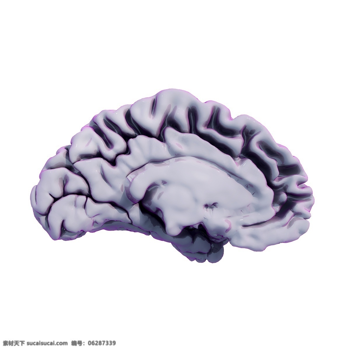 大脑 侧面 图 立体 大脑侧面 幻彩 人脑 医学 科研 精致 质感 科幻 套图 创意 png图