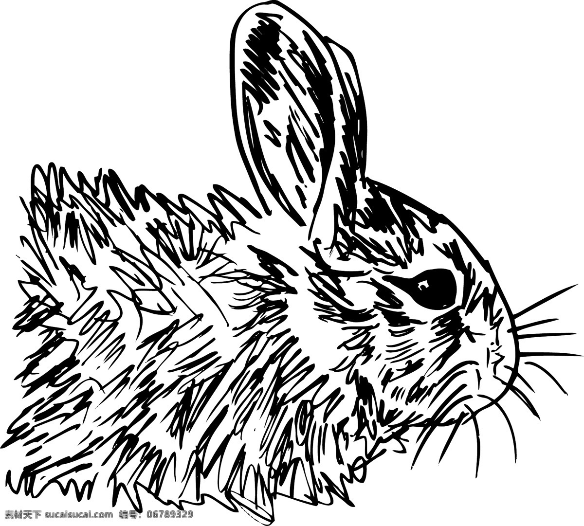 小 兔子 插画 矢量图 日常生活