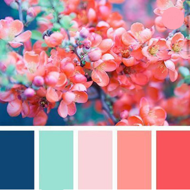 植物配色 色彩配色 配色表 配色图标 颜色搭配 图案配色 矢量素材 共享图