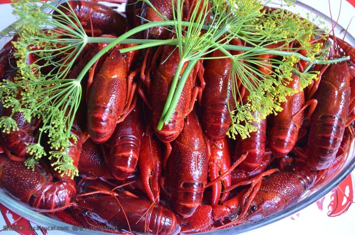 龙虾 海鲜 虾 虾仁 螃蟹 大闸蟹 油炸 生蚝 扇贝 海参 鲍鱼 章鱼 美食 餐饮 海鲜大杂烩 寿司 饮食 食物 美味 烤鱼 鱼 鱼肉 烧烤 鲤鱼 海鱼 皮皮虾 鱼片 背景 美食背景 餐饮背景 餐饮文化 艺术